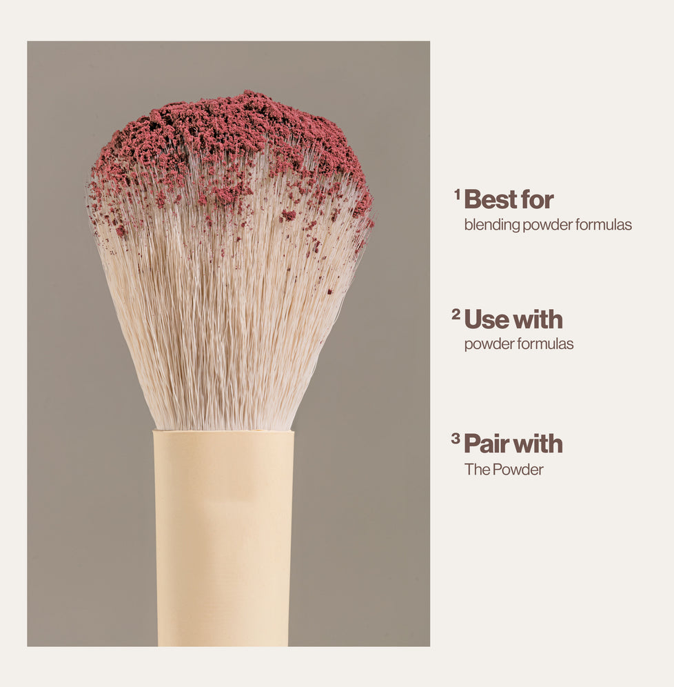 The Powder Brush