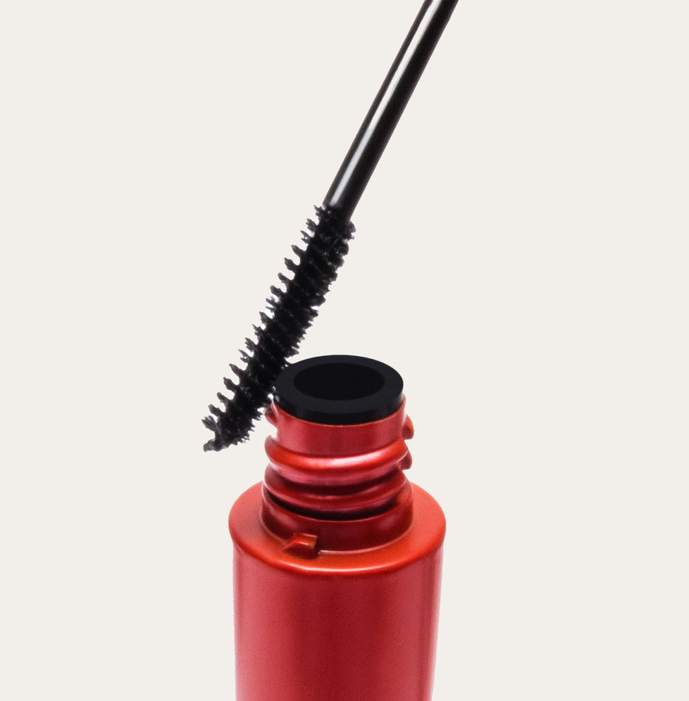 Lash Seeker