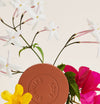 Airblush in Biscuit