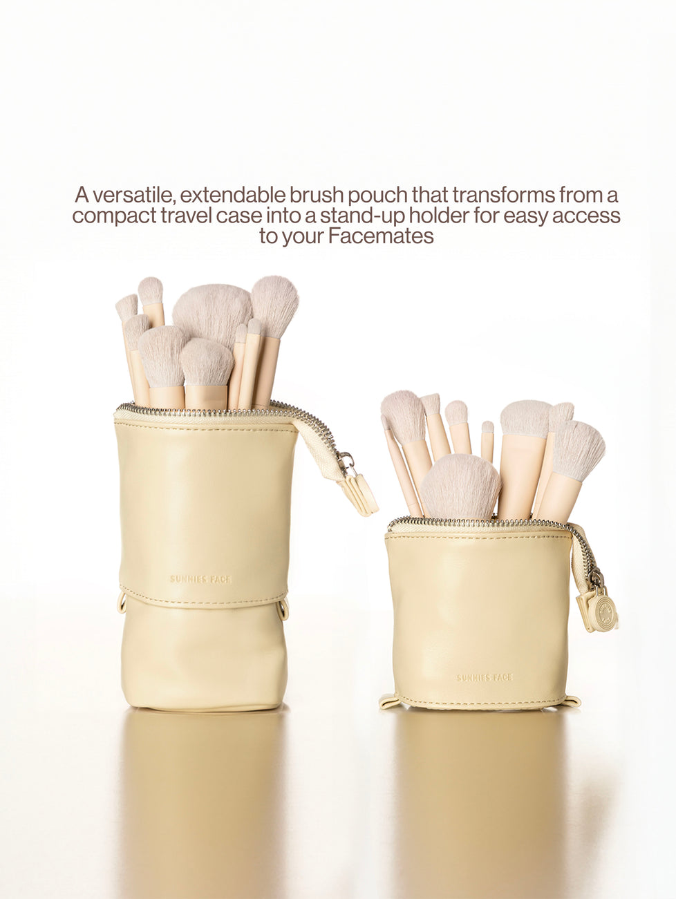 Extendable Brush Bag