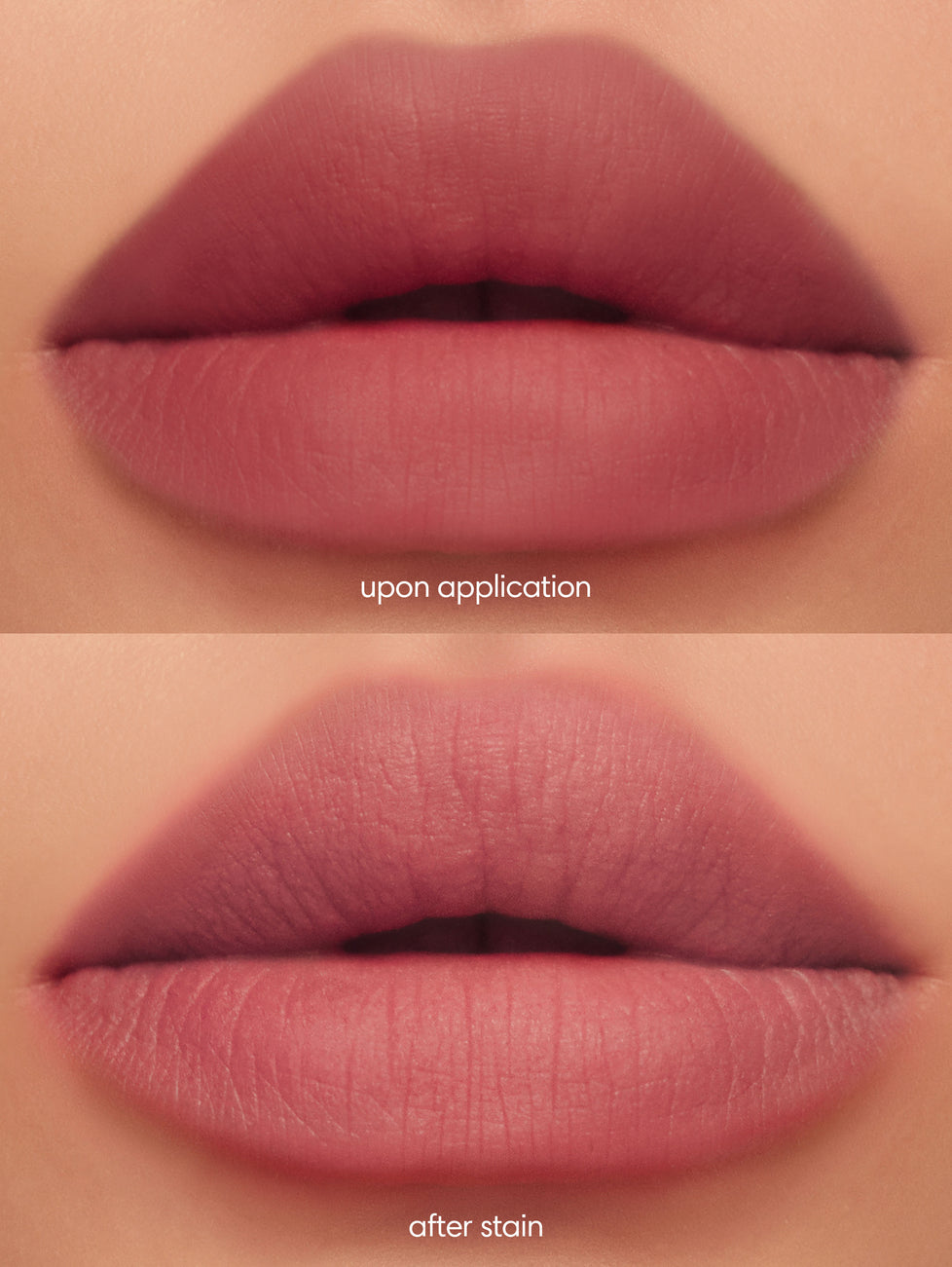 Lip Dip in Fig