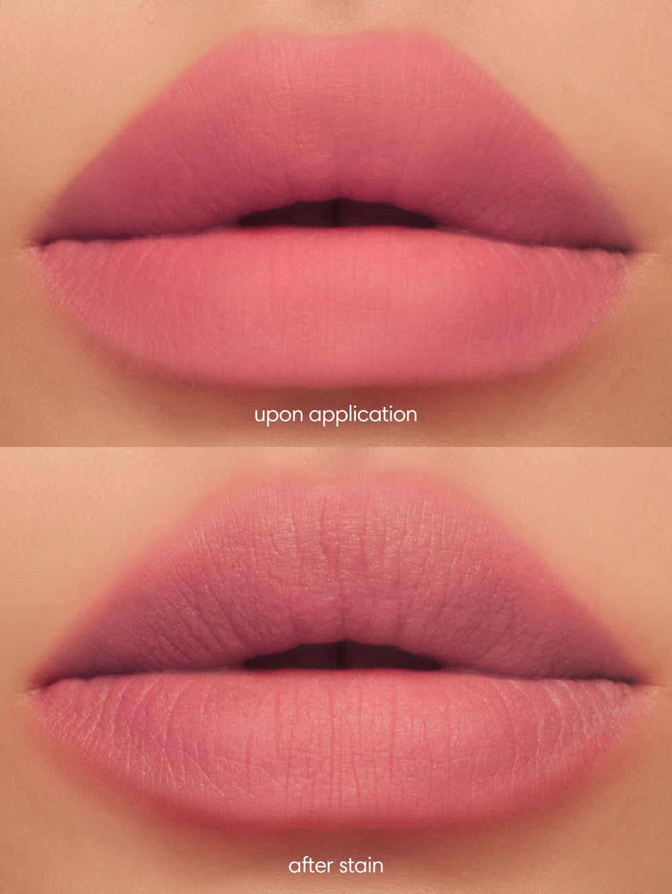 Lip Dip in Petite